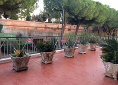 APPARTAMENTO - GROSSETO (GR)