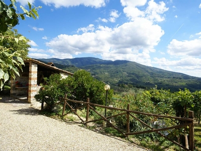 Confortevole casa a Pelago con piscina panoramica