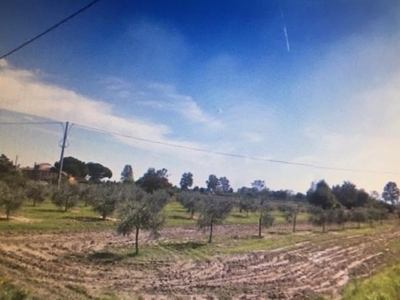 Terreno Agricolo in vendita a Cascina