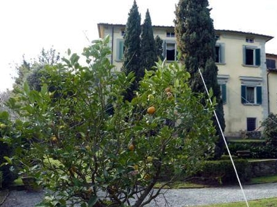 Villa in vendita a Camaiore Lucca Pedona