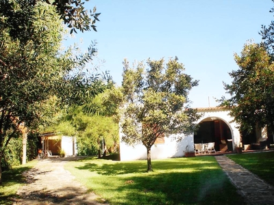 Casa a Marina Di Ascea con giardino, terrazza e barbecue