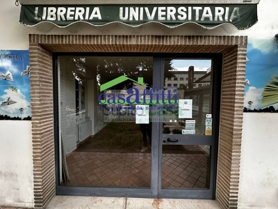 Fondo commerciale in affitto Chieti