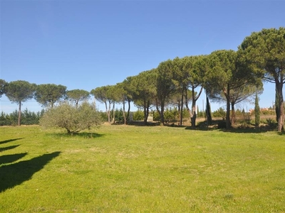 Annesso agricolo a Rosignano Marittimo, 5 locali, 290 m² in vendita