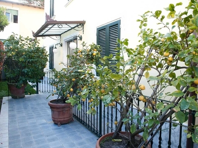 Appartamento a Pietrasanta, 5 locali, 2 bagni, arredato, 100 m²