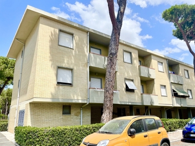 Appartamento in Via Bramante, Grosseto, 5 locali, 2 bagni, 111 m²
