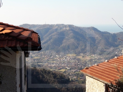 Casa indipendente a Camaiore, 4 locali, 1 bagno, giardino in comune