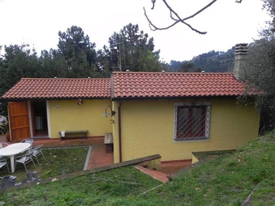 Casa indipendente a Camaiore, 4 locali, 1 bagno, giardino privato