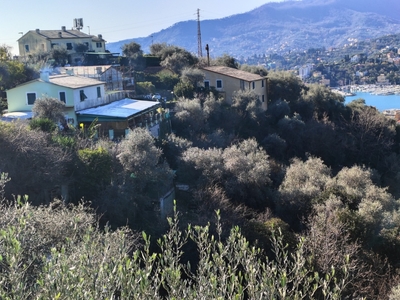 Casa indipendente a Rapallo, 14 locali, 1 bagno, giardino privato