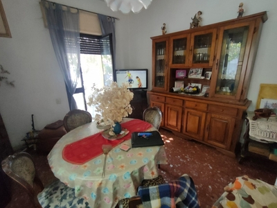 Casa indipendente a Viareggio, 4 locali, 2 bagni, giardino privato