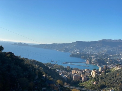 Casa semindipendente a Rapallo, 4 locali, 1 bagno, giardino privato