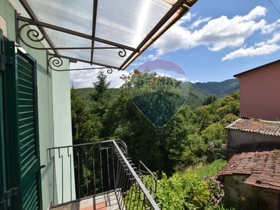 Casa semindipendente in VIA CHIESA, Bagni di Lucca, 10 locali, 1 bagno