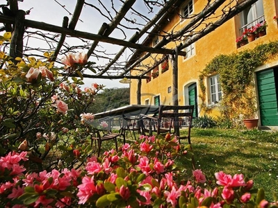 Casale a Lucca, 10 locali, 5 bagni, giardino privato, posto auto