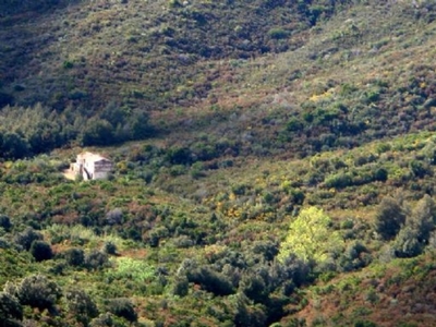 Casale in Loc. Filetto, Campo nell'Elba, 500 m², classe energetica G