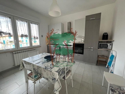 Quadrilocale in Via Italica 13, Camaiore, 1 bagno, 90 m², 2° piano