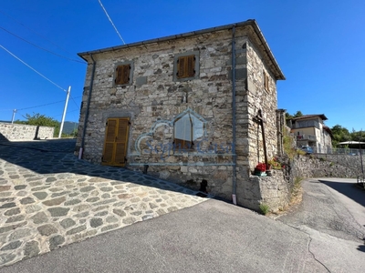 Rustico a Piazza al Serchio, 6 locali, 100 m², da ristrutturare