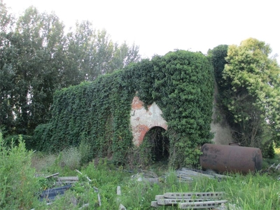 Rustico in Altopascio, Altopascio, 12 locali, giardino privato, 350 m²