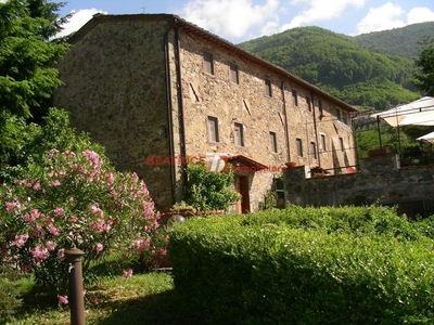 Rustico in VIA DI PETROGNANO, Capannori, 11 locali, 5 bagni, con box