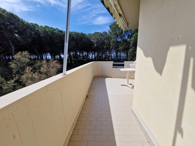 Trilocale a Rosignano Marittimo, 1 bagno, giardino privato, arredato