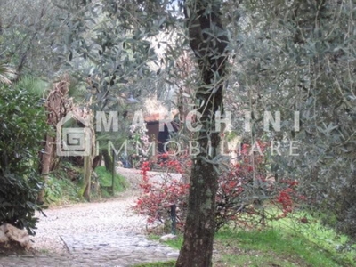 Villa a Lucca, 14 locali, 5 bagni, giardino privato, posto auto