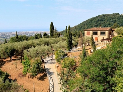 Villa a Massarosa, 8 locali, 4 bagni, giardino privato, posto auto