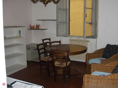 Appartamento in Affitto in Via Guglielmo Oberdan a Pisa