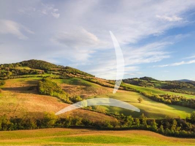 Azienda Agricola in Vendita a Castel Giorgio