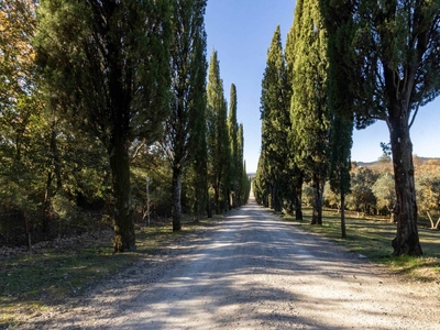 Quadrilocale ristrutturato a Castelnuovo Berardenga