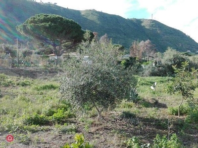 Terreno agricolo in Affitto in a Cefalù