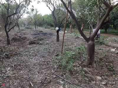 Terreno agricolo in Affitto in Via Giuseppe Tomasi di Lampedusa a Villabate