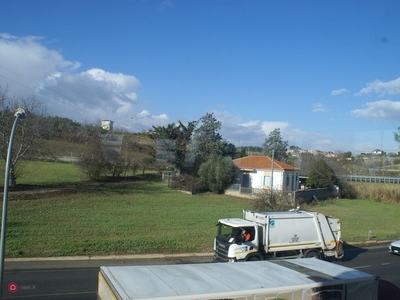 Terreno agricolo in Affitto in Via Lungofino a Città Sant'Angelo