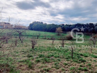 terreno agricolo in vendita a Montalto di Castro