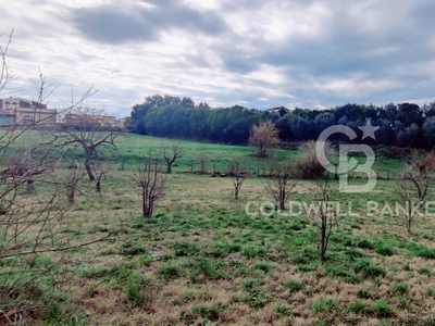 Terreno in vendita a Montalto di Castro