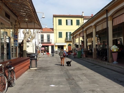 Capannone in vendita Lucca