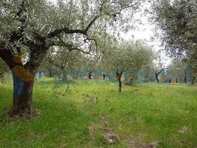 Terreno agricolo in vendita in Via Delle Pantane, Montorio Romano