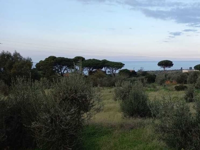 Terreno edificabile in Vendita a Messina c.da mezzacampa Spartà