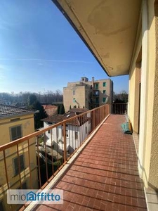 Appartamento arredato con terrazzo Cittadella