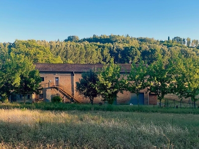 Casa indipendente con giardino, San Miniato volpaio