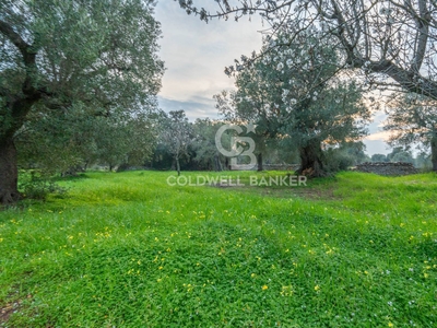 Rustico/Casale/Corte in vendita a Ostuni