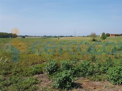 Terreno agricolo in vendita a Tarquinia