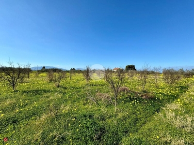 Terreno agricolo in Vendita in Contrada Giambruno a Partinico