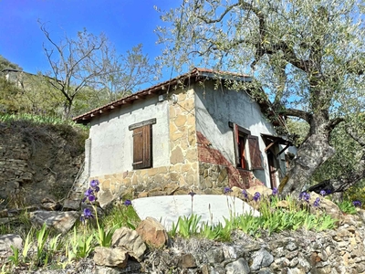 Rustico / Casale in vendita a Apricale - Zona: Regione Osaggio