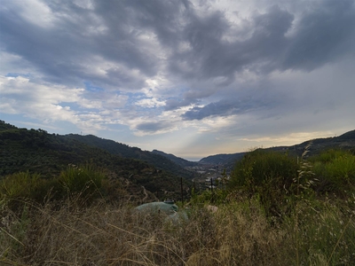 Rustico / Casale in vendita a Dolceacqua