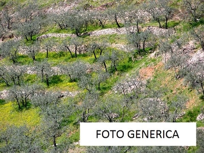 Terreno Agricolo in vendita a Calci