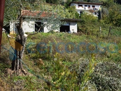 Terreno agricolo in vendita a Massa