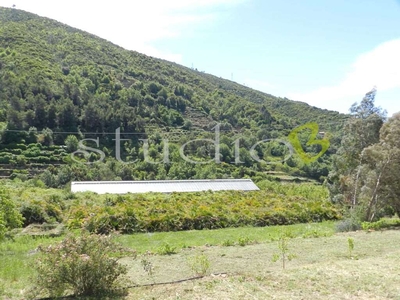 Terreno Edificabile Residenziale in vendita a Bordighera - Zona: Sasso