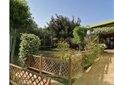 Villa in vendita a Grosseto, Frazione Bagno Roselle, Via Batignanese 230/a