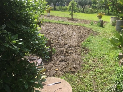 Casa indipendente con giardino a Cascina