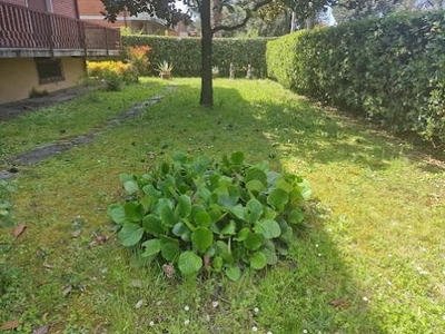 Villa con giardino, Carrara sant'antonio