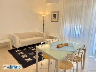 Appartamento arredato con terrazzo Riccione