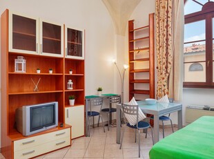 Appartamento in affitto a Navacchio - Cascina